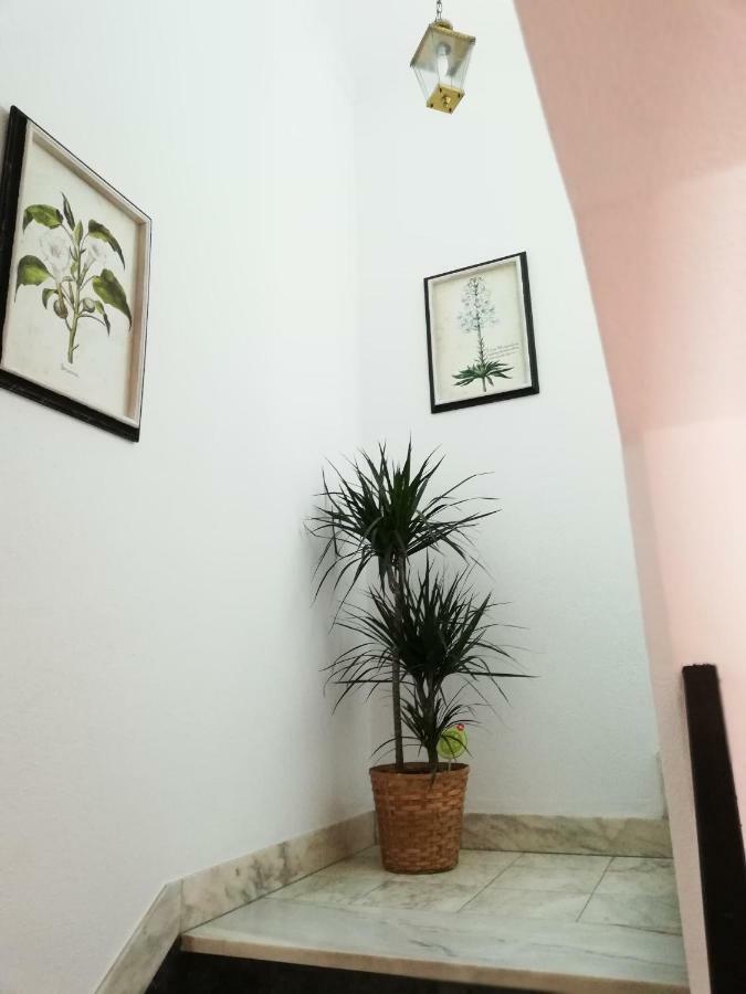Arronches Villa Esterno foto